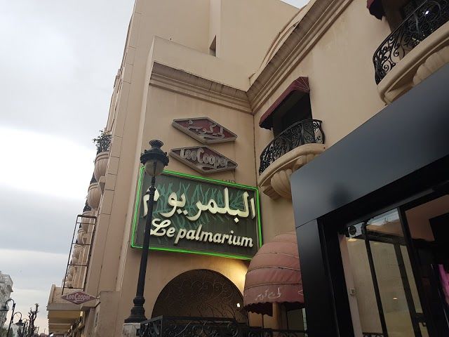 Cinema Palmarium